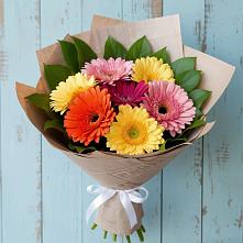 Букет цветов из:  Герберы в Березнецово