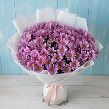 Букет цветов из:  Хризантемы в Березнецово