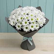 Букет цветов из:  Хризантемы в Березнецово